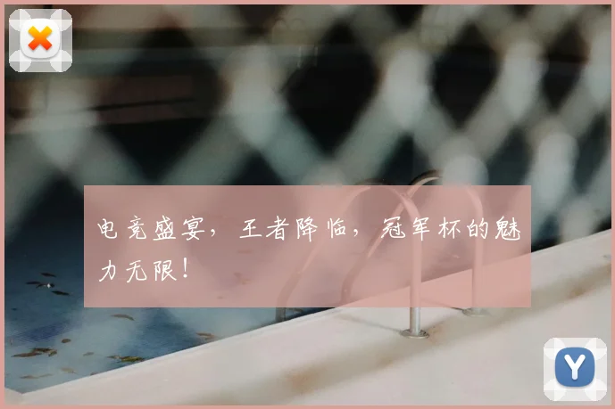电竞盛宴，王者降临，冠军杯的魅力无限！