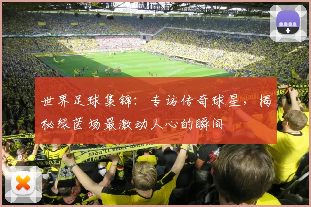 世界足球集锦：专访传奇球星，揭秘绿茵场最激动人心的瞬间